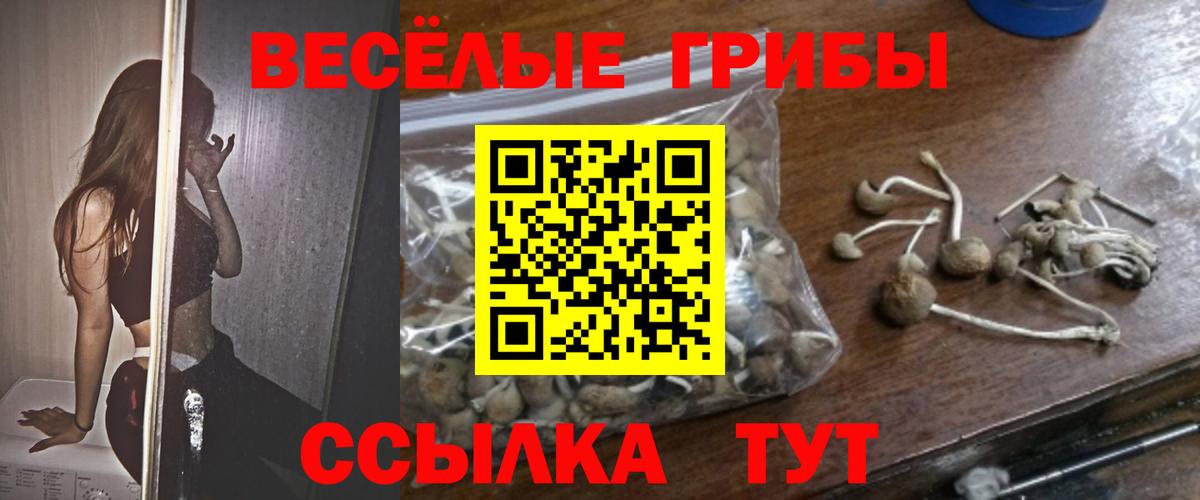 Галлюциногенные грибы Magic Shrooms Светлоград